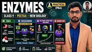 Class 9th | Uses of Enzymes | Lock and Key Model | Induced Fit Model | Factors Effecting Enzymes
