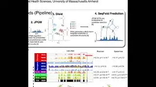 Isoform-specific structural characterization of RNA... - Eric Pederson - iRNA - Poster - ISMB 2022