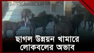 বরিশালের সরকারি ছাগল উন্নয়ন খামারে নেই পর্যাপ্ত জনবল | Goat | Ekattor TV
