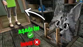 EFSANELERİ TEST EDİYORUM | SchoolBoy Runaway Gerçek mi, Uydurma mı?
