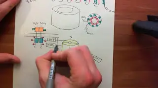 Receptor Tyrosine Kinases Part 14