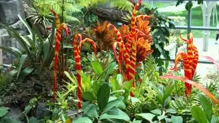 Denver Botanical Gardens