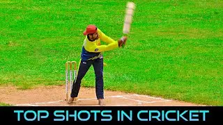 Most Innovative Cricketing Shots