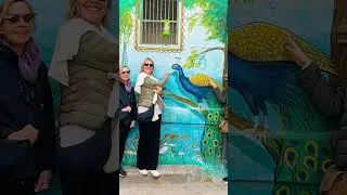 Italian Tourists in Jodhpur | Blue City Photo Moments 🇮🇹💙