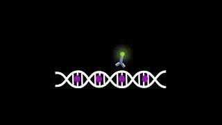 The Difference between BrdU and EdU (Cell proliferation assays)