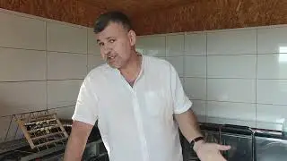 Warmińska pszczoła osuszanie miodu nawłociwego