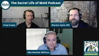 The Power of qPCR Mold Testing &ndash; Mold Sampling Series Part 3