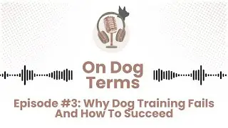 Why Dog Training Fails and How to Succeed | On Dog Terms Episode 3