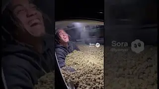 Caught in the Weed Car Chaos! 😂🌿 (You Won&rsquo;t Believe the Twist!)