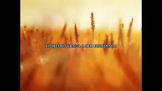 Cuando vuelva el hijo del hombre, hallar&aacute; fe en la tierra?