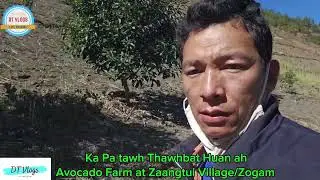 Zogam ah Thawhbat cinna pan nuntakna piangta