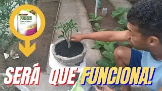 vale a pena comprar esse substrato !