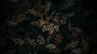 welcome and goodbye - Dream, Ivory | (Slowed + Reverb) | Extended Ending