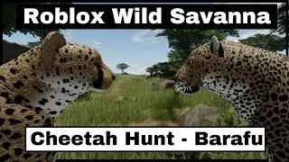 Roblox Wild Savanna - Cheetah vs Leopard Hunt - Battle for prey