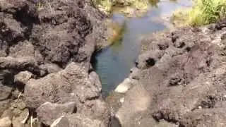 Priest's pools