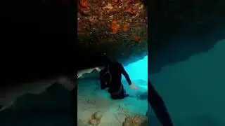 Sea Caves and the Terrifying Shark Encounter: Underwater Survival Challenge #aivideo #sea #deep