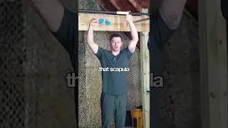 Muscle Up Tips | Coaching