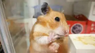 自ら命を絶つ前に、、、
