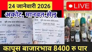 आजचे कापूस बाजार भाव |कापुस भाव आजचा l|kapus bhav| cotton rate# मानवत कापूस बाजार !Kapus bajar bhav 