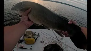 Big Bowfin reeled in!