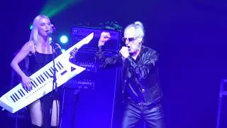 MEN WITHOUT HATS 