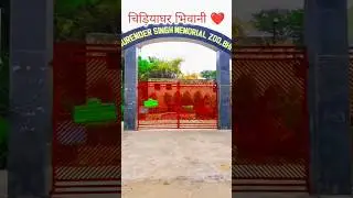 chidiyaghar bhiwani ❤️ || zoo || animals || #zoo #youtubeshorts #shorts #bhiwani