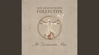 Mr Renaissance Man