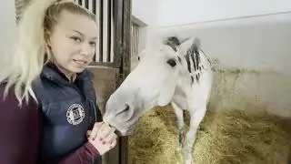 DZIEŃ W MOJEJ STAJNI | BLANKA SATORA
