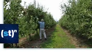 Keeping kids safe from pesticides | SciTech Now