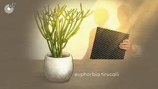 This BRILLIANT Sustainability Idea will Change the World | New Self Healing Composite Material