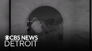 Person detained in Nancy Guthrie case has been released