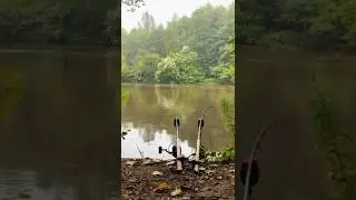 RIVER CARP RUN 😱🎣 - part 1 #lafrance