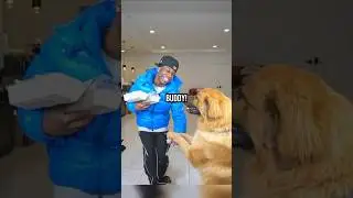Rakai's New Pet Dog Wants His Food 🥰
