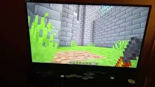 Becoming a hamster to save my friends 
