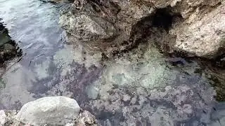 10 minutes of pure sea water relaxing
