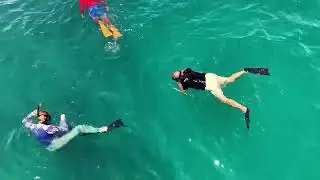 Snorkeling in Unawatuna beach with sudda, a perfect diving and snorkeling experience in Unawatuna
