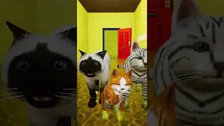 animal dance 🤣। #funny #trending #baby