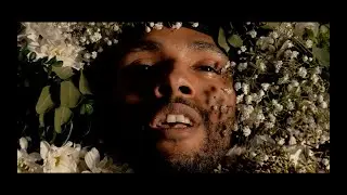 Garden (Official Music Video) Feat. Ethan Martin