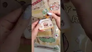 Capybara Blind Bags Unboxing ASMR 🐹🎁✨#asmr #blindbag #kawaii