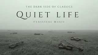 The best classical music you should listen to at least once in your life 🎻 Mozart, Beethoven,...