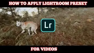 How to Apply Lightroom Preset for Videos (Easy process)