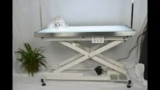 Low Lifting Pet Grooming Table LED Light Operation and Installation