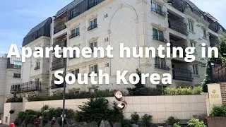 OUR NEW HOME IN SOUTH KOREA! My travel experience with a cat, temp lodging tour and Osan AB bx tour