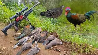BERBURU AYAM HUTAN | SAFARI HUNTING LERENG GUNUNG BROMO