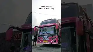 Aneka Bintang 'JAVASQUEEN' #teloletbasuri #buswisata #busbasuriterbaru #busmania #shorts