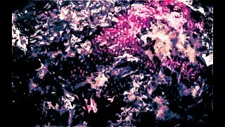 Elemental Illness - A World Without Cohesiveness (2021) FULL ALBUM