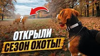 ОТКРЫТИЕ СЕЗОНА ОХОТЫ НА ЗАЙЦА 2025!