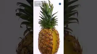 666. From Pinecone to Pineapple: The Hilarious History of This Tropical Fruit