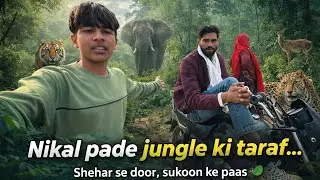 Nikal pade jungle ki tarf 😱 #lion #tiger #trending #mostpopular #junglelife #junglestory #viralvideo