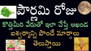 పౌర్ణమి రోజు కొత్తిమీర వేరుతో ఇలా చేస్తే అఖండ ఐశ్వర్యాన్ని పొందే మార్గాలు తెలుస్తాయి